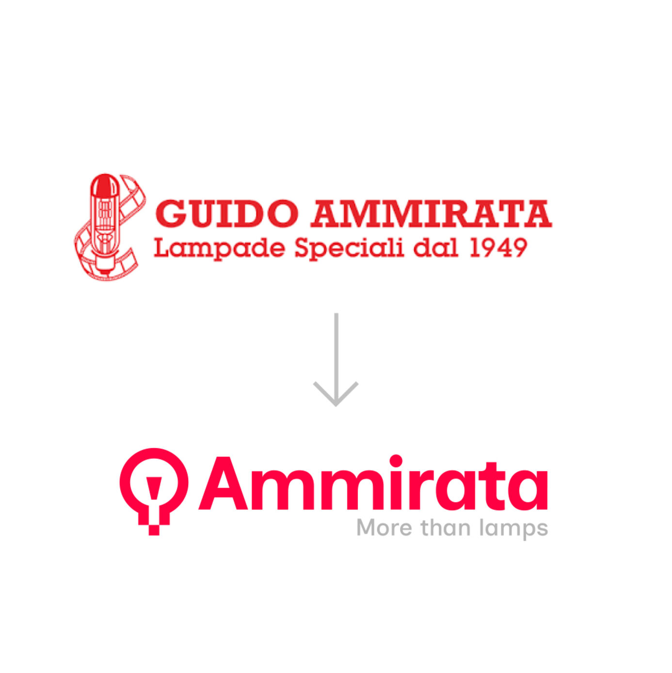2_AMMIRATA_LOGO.jpg